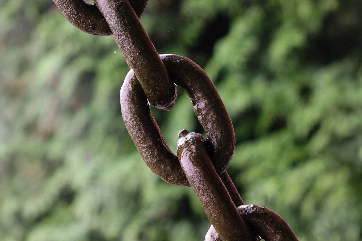 Need_Responsive_Support-Dubai